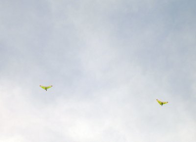 A Pair of Powered Gliders over Hungary.
